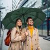 imageG4Free 42465462 Inch Large Golf Umbrella Compact Reverse Travel Umbrella 10 Ribs Windproof for Rain Double Canopy Automatic Open CloseDark Green