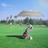 imageG4Free 62 Inch Portable Golf Umbrella Large Oversize Double Canopy Vented Windproof Waterproof Automatic Open Stick Umbrellas for Men and WomenDark BlueGray