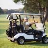 imageG4Free Golf Bag Umbrella for Club Protection Flex UmbrellaNavyWhite