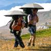 imageG4Free Liteflex Hiking Umbrella Mini Compact Ultralight Collapsible Reflective Silver Trekking Backpacking UmbrellaBlack