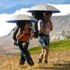 imageG4Free Liteflex Hiking Umbrella Mini Compact Ultralight Collapsible Reflective Silver Trekking Backpacking UmbrellaBlue
