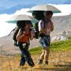imageG4Free Liteflex Hiking Umbrella Mini Compact Ultralight Collapsible Reflective Silver Trekking Backpacking UmbrellaLake Blue
