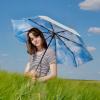 imageG4Free UPF 50 UV Protection Large Travel Umbrella 4246 Inch Auto Open Close Windproof Sun Blocking UmbrellaBlue SkySilver