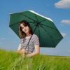 imageG4Free UPF 50 UV Protection Large Travel Umbrella 4246 Inch Auto Open Close Windproof Sun Blocking UmbrellaDark GreenSilver
