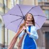 imageG4Free UPF 50 UV Protection Large Travel Umbrella 4246 Inch Auto Open Close Windproof Sun Blocking UmbrellaLight PurpleSilver