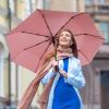 imageG4Free UPF 50 UV Protection Large Travel Umbrella 4246 Inch Auto Open Close Windproof Sun Blocking UmbrellaPinkSilver