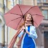 imageG4Free UPF 50 UV Protection Large Travel Umbrella 4246 Inch Auto Open Close Windproof Sun Blocking UmbrellaPinkSilver