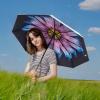 imageG4Free UPF 50 UV Protection Large Travel Umbrella 4246 Inch Auto Open Close Windproof Sun Blocking UmbrellaPurple DaisySilver